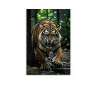 XMHMYHZJ Animal Poster Tiger in Its Natural Habitat on The Forest Floor Wall Art Mural Modern Decoration Hanging Art Poster 16x24inch(40x60cm)