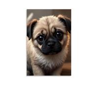 XMHMYHZJ Animal Poster with Fluffy Little Dog Looking at Camera And Curious Eyes Wall Art Mural Modern Decoration Hanging Art Poster 08x12inch(20x30cm)