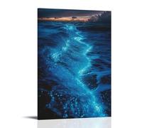 XMHMYHZJ Scenery Poster Bioluminescent Plankton Waves Wall Art Mural Modern Decoration Hanging Art Poster 24x36inch(60x90cm)