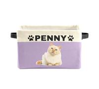 XMJUPO Personalized Foldable Storage Bins with Name Custom Nursery Baskets Organizer with Handles for Organizing Kids and Pets Toys Nursery Shelf Closet Boxes 1 Pack Purple Pets