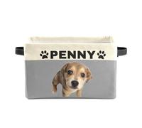 XMJUPO Personalized Foldable Storage Bins with Name Custom Nursery Baskets Organizer with Handles for Organizing Kids and Pets Toys Nursery Shelf Closet Boxes 1 Pack Grey Pets
