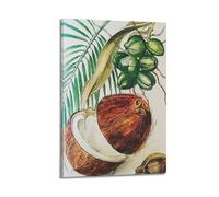XMUXCY Food Coconut Freshness in Natural History Illustration Canvas Wall Art Posters for Modern Family Bedroom And Office Decor Artwork 08x12inch(20x30cm)