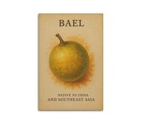 XMUXCY Food Hand Drawn Bael Fruit From India Canvas Wall Art Posters for Modern Family Bedroom And Office Decor Artwork 16x24inch(40x60cm)