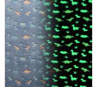 XMwike Luminous Rugs for Bedroom, Glow in the Dark Soft Rug for Kids Room, Unique Area Rugs Carpet Non-slip Washable No Shedding Living Room Rug 200x100, Blue Dinosaur