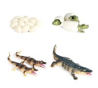XNHIU 4 Pieces Crocodile Life Cycle Toys Plastic Crocodile And Eggs Figurines Simulation Realistic Crocodile Toy for Easter Party Decoration Animal Learning Set