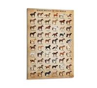 XNLKSI Horse Knowledge Horse Breeds of The World Poster Framed 12x16inch