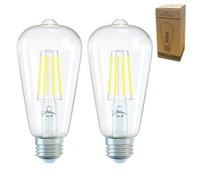 Xnordcaper E27 Dimmable Vintage Edison LED Light Bulbs, 4W Energy Saving ST64 LED Filament Light Bulbs Clear Glass 6000k Cool White E27 Squirrel Cage Retro Edison Screw Bulbs, 40W Equivalent, 2Pack
