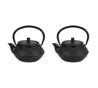 Xnuiasqe 2X Iron Tea Pot with Stainless Steel Infuser Cast Japanese Iron Teapot Oolong Tea Puer Tea Tea Kettle 300ML