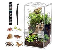 Xnuiasqe Acrylic Reptile Terrarium Easy Assembly, 360° Clear & Keep Pet Secure Design for Jumping Spiders, Tarantulas, Geckos