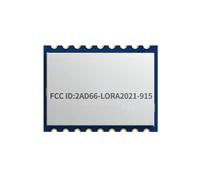 Xnuiasqe LORA2021 Sub-GHz 915MHz LoRa Module, 2.4GHz, S Band, LR-FHSS, RTToF Ranging, 2.6Mbps, Compatible LoRaWAN