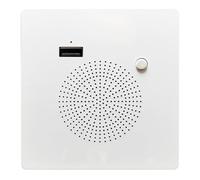 Xnuiasqe Wall Mounted USB Flash Drive Bluetooth Speaker Panel Home Audio USB Charging Play Back Unit