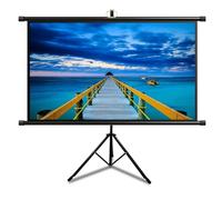 Xnyaizy Projector Screen and Stand, 60 Inch Portable Projector Screen with 4:3/16:9 HD 4K Projector Movie Screen for School Home Theatre, Indoor Outdoor Foldable Projection Screen (Size : 60" (16:9))