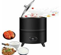 XNZJHPP Commercial Yogurt Maker, Automatic Yogurt Fermentation Machine, Electric Fermenter for Fruit Vinegar, Yogurt, Natto, Rice Wine (Black 12L)