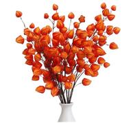 Xoeryoy Chinese Lantern Flowers 6Pcs Artificial 38.2in Long Orange Chinese Lantern Plant Flexible Faux Winter Fall Branches for Home Shop Decor