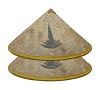 Xoeryoy Rice Hat, 2 Pack Woven Chinese Bamboo Hat for Kids, Breathable Sun & Rain Cap with Plant Patterns for Summer, Party, Performance, 14 Inch