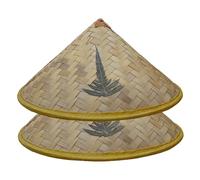 Xoeryoy Rice Hat, 2 Pack Woven Chinese Bamboo Hat for Kids, Breathable Sun & Rain Cap with Plant Patterns for Summer, Party, Performance, 14 Inch