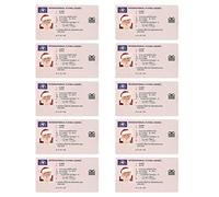 Xoeryoy Santa Claus Flying License Christmas Lost Flying Driving Licence for Xmas Ornament 10PCS