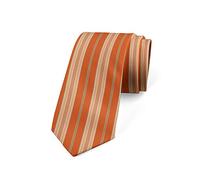 Xoovtka Multicolor Modern Men's Tie