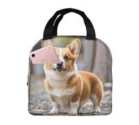 XOPEKVLAWM Insulated Lunch Bag for Men Women Reusable Lunchbox Dog Corgi Lunch Box Leakproof Cooler Bags for Work Picnic