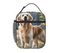 XOPEKVLAWM Insulated Lunch Bag for Men Women Reusable Lunchbox Golden Retriever Lunch Box Leakproof Cooler Bags for Work Picnic