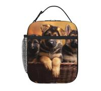 XOPEKVLAWM Insulated Lunch Bag for Men Women Reusable Lunchbox Little German Shepherd Dog Lunch Box Leakproof Cooler Bags for Work Picnic