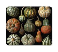 XOPEKVLAWM Mouse Pad with Stitched Edge Waterproof Computer Mousepad with Non-Slip Rubber Base Pumpkins And Acorns Mouse Pad Laptop Desk Pad Washable Gaming Mouse Mat for Laptop Office Home 25 * 30cm