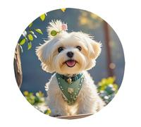 XOPEKVLAWM Table Cloth for Round Tables Waterproof & Stain Resistant Table Cloths Lovely Maltese Dog Tablecloth Decorative Fabric Wrinkle Free Table Cover for Thanksgiving Dining Party 152cm