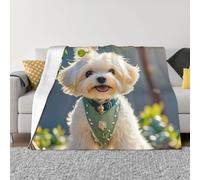 XOPEKVLAWM Throw Blanket for Couch Super Soft Cozy Bed Blanket Ultra-Soft Micro Lovely Maltese Dog Blankets for All Season Warm Lightweight Fleece Throw Blankets for Sofa Bedroom Living Room 50"x40"