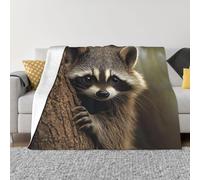 XOPEKVLAWM Throw Blanket for Couch Super Soft Cozy Bed Blanket Ultra-Soft Micro raccoon Blankets for All Season Warm Lightweight Fleece Throw Blankets for Sofa Bedroom Living Room 40"x30"