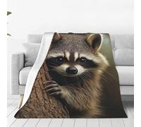 XOPEKVLAWM Throw Blanket for Couch Super Soft Cozy Bed Blanket Ultra-Soft Micro raccoon Blankets for All Season Warm Lightweight Fleece Throw Blankets for Sofa Bedroom Living Room 50"x40"