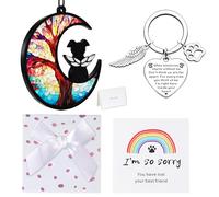 xoqoiuo 5Pcs Rainbow Dog Memorial Gifts, 2 Paper Cards 1 Keychain 1 Gift Box and 1 Rainbow Bridge Pet Memorial Gifts, Thoughtful Loss of a Dog Gift to Honor Beloved Pets, Room Decor for Dogs Owner