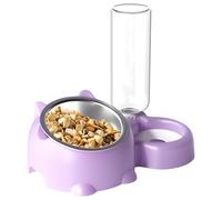 xowwyue Cat Bowl - 16 Degree Tilted Cat Food Dish with Water Dispenser,Removable Cat Dish, Pet Feeder Bowl for Puppy Medium Dogs Cats