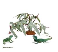 xowwyue Reptile Plants,Realistic Fake Greenery Decor - Snake Enclosure Artificial Leaves | for Freshwater Desert Fish Turtle Betta Gecko Leopard Chameleon Frog Hermit Amphibian