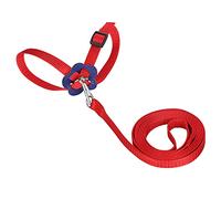 XOYIXOYI for Bird Harness, for Small Parrots, Adjustable Nylon Leash with Safety Lock, Soft Satin Texture, Bite Resistant, Flying Training Equipment for Pets (Red)