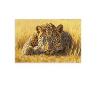XPASHIQWC Blue Eyed Leopard Wall Decor Poster Golden Steppe Canvas Prints Picture Modern Wall Art Picture Wall Hanging for Office Gym Living Room Decor 16x24inch(40x60cm)