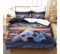 XPASHIQWC Dalmatian 3D Print Bedding Set Beach Starlit Sky with Hidden Zipper And Pillow Casesfor Kid Teens Boys And Girls King（220x240cm）