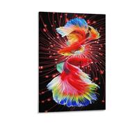 XPASHIQWC Rainbow Betta Fish Wall Decor Poster Canvas Prints Picture Modern Canvas Wall Art Picture Wall Hanging for Dining Room Kitchen Home Office Decor 20x30inch(50x75cm)