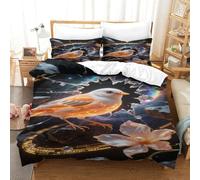 XPASHIQWC Zebra Finch 3D Printed Microfiber Duvet Cover Set Starry Sky Meteorite with Zipper Closure for Bedroom Dorm Decor King(220x240cm)