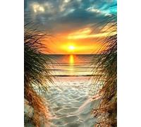 Xpdnmilq Pre Printed Cross Stitch Kits for Adults 11CT Stamped Easy Pattern Embroidery Starter Kits Needlepoint DIY Home Decor Beach Reeds 40x50cm