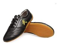XPF Adults Genuine Leather Lace-up Tai Chi Shoes Chinese Tai-Chi Wu Shu Kung Fu Shoes Basic Style For Daily Training Morning Exercises Jogging Fitness Climbing,Black-44