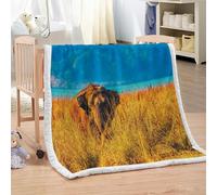 XPINGO Elephant Sherpa Blanket Kids 100x130 cm Warm Fluffy Soft Microfiber Fleece 3D Throw Blanket Animals Elephant for Sofa Couch Bedspread（style 178-5）