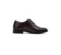 XPOSED Men's Faux Leather Derby Dress Shoes in Brown | Size: 8 XPOSED Brown 8