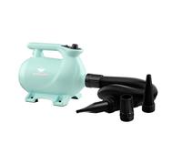 XPower B-123 High Velocity Dryer with Heat - Pastel Green Colour: Past