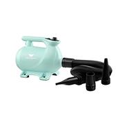 XPower B-123 Pet Dryer, Low Noise, 2-Level Adjustable Heat Settings, 3 Nozzles, Portable Pet Dryer, 3 Color Options (Green)