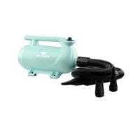 XPower B-163 High Velocity Dryer - Pastel Green Colour: Pastel Green