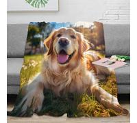 XPZABCDEG 3D Printed Golden Retriever Blanket Microfiber Sofa Bed Home Decor Dog Throw Blanket All Ages 40x50inch(100x130cm)