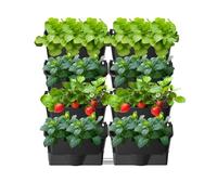 XQZMD Self Watering Wall Planting Pot, Outdoor Hanging Planter Bags with 8 Pots, Vertical Living Green Wall, Pocket Planter Hanging Wall-mounted Holder for Indoor Outdoor (8Pcs-Black A)
