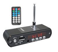 XRONG Earphone Amplifier,Bluetooth Audio Receiver FM Radio, 12H Playtime,TC22H,Suport USB Disk SD Card, MP3 Digital Player,for Travel,Home Office