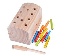 Xrten Toy Insects Game, 10Pcs Wooden Magnetic Catch Insects, Educational Toys for Kids over 3 Years Old