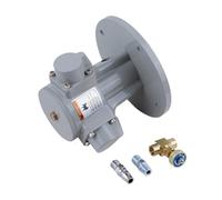 XS-HS015 Pneumatic Piston Pneumatic Motor With High Torque At Low Speed High Power Adjustable Speed Reducer Stable Structure